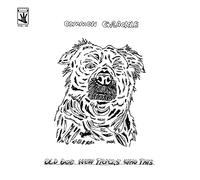 Common Grackle - Old Dog New Tricks Who This