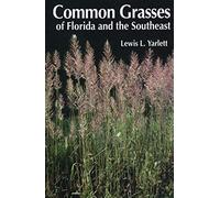 Common Grasses Of Florida & The Southeast