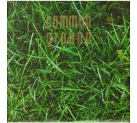 Common Ground - Comment/Mambo Agogo