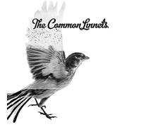 Common Linnets - Common Linnets-Spec [Import]
