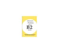 Common Mistakes At A B2 Level