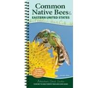 Common Native Bees Of The Eastern United States