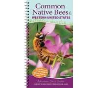 Common Native Bees Of The Western United States : Your Way To Easily Identify Bees And Look-Alikes