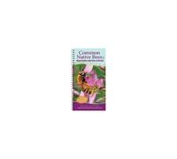 Common Native Bees Of The Western United States : Your Way To Easily Identify Bees And Look-Alikes