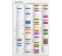 Common Network Ports Poster Essential Networking Reference Wall Decor for Cybersecurity Analyst Desk(Framed,08x12inch(20x30cm))