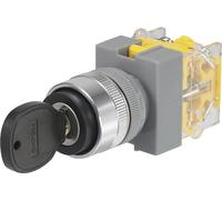 Commutateur à clé TRU COMPONENTS 704536 Y090-A-20Y/33 250 V/AC 5 A 2 x Off/(On) 2 x 45 ° IP40