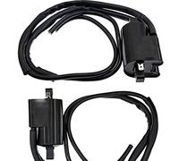 Commutateur D'allumage de Moto Bobine d'allumage de moto 12V CDI, Utilisation adaptée pour FJ600 FJ1100 1984-1985 FJ1200 1986-1987 FJR1300 2001 2002 2003 2004 2005(2 Set)