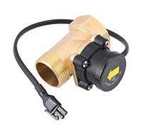 Commutateur de Débit d'eau, HT-800 G1 Filetage 220V Capteur de Débit de Pompe à Eau Commutateur de Commande Automatique, avec des Performances Stables, Résistant Aux Hautes Températures