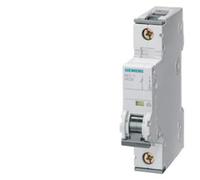 Commutateur Dig.Industr. LS Siemens 5SY4132-7 5SY41327