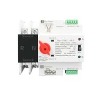 Commutateurs Sélecteurs Électriques À Transfert Automatique Monophasé For Rail DIN ATS 110 V 220 V, Double Alimentation, Ininterrompus, 2P 63 A 100 A 125 A(220V,63A)