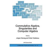 Commutative Algebra, Singularities And Computer Algebra