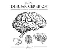 Cómo Dibujar El Cerebro