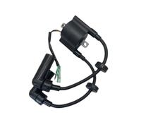 COMODO Remplacement de Charbon d'injection pour 4 Stroke 9.9HP 15HP Outboard Motor F9.9 FT9.9 F15