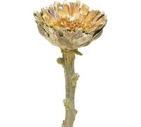 Compacta Rosette Protée Vert givré Ø4-5,5cm Set de 20 - Décoration exotique de fleurs séchées pour la maison
