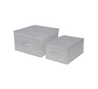Compactor Lot de 2 boîtes de Rangement Pliables avec Couvercle, polypropylène Non tissé et Carton, Grand 40 x 50 x 25cm, Petit 30 x 43 x 19cm, Gamme Boston, Gris, RAN10445