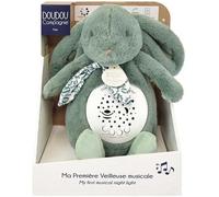 Compagnie - Veilleuse Musicale Lapin Vert Sauge Avec Projection D¿Étoiles ¿ Doudou Peluche Avec Mélodies Et Lumières Apaisantes ¿ Compagnon Nuit Bébé ¿ Idée Cadeau Naissance - Dc4203