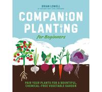 Companion Planting For Beginners