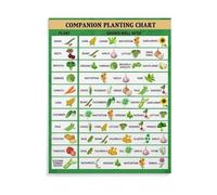 Companion Planting Guide Poster, Garden Planting Chart for Vegetables & Herbs, Educational Canvas Wall Art for Kitchen, Office, Living Room(Framed,12x18inch(30x45cm))