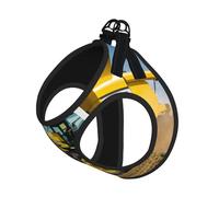 Company Ensemble harnais et laisse pour chat et chien, réfléchissant, réglable, anti-fuite, avec maille douce et respirante, pour petits animaux de compagnie et chatons chiots