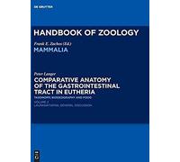 Comparative Anatomy Of The Gastrointestinal Tract In Eutheria Ii