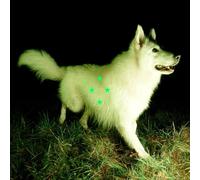 Compare What’s There/Fluorescent Green Vinyl/Poster