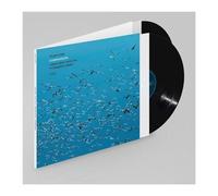 Vijay Iyer, Linda May Han Oh & Tyshawn Sorey – Compassion – Album vinyle 12"