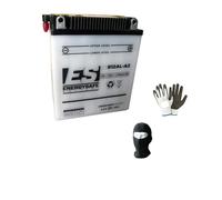 Compatible avec Aprilia Atlantic IE E3 250 ANNÉE 2006 al 2008 Batterie YB12AL-A2 ENERGYSAFE ESB12AL-A2 pour Moto ET Scooter, 12 AH, 12 Volts, 134 X 80 X 160 MM