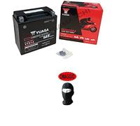 Compatible avec BMW F GS (K72) (MOSSE FORI Ø 8,5) 650 de 2008 à 2008 Batterie déjà prête à l'utilisation YUASA YTX14 batteries 12 AMPERE 150 x 87 x 147 mm séparateur AGM charge