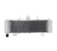 Compatible Avec CBR125R 2021 Refroidisseur D'eau Radiateur De Refroidissement Du Moteur Réservoirs De Réservoir De Liquide De Refroidissement De Moto Réservoirs Réservoirs de trop-plein