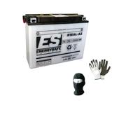 Compatible avec Ducati Monster 750 ANNÉE 1996 al 1999 Batterie YB16AL-A2 ENERGYSAFE ESB16AL-A2 Batterie pour Moto 16AH AMPÈRE 12 Volts 207X72X164 CCA200A FR