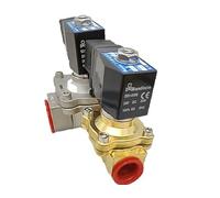 Compatible avec électrovanne SANLIXIN ZS1DF02V4B10 ZS1DF02V4D10 ZS1DF02V4C13 ZS1DF02N4C10 ZS1DF13V4D10 ZS2DF02V4D13 ZS1DF13E9D10 ZS2DF02 V9D10 (ZS1DF13V4D10)