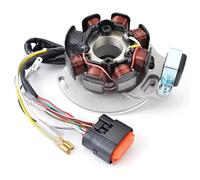 Compatible Avec GasGas Pour Ec200 Pour Ec250 Pour Ec300 2005 2006 2007 2008 ; Pour Ec125 2005 2006 ; Bobine De Stator De Moto OEM : ME250534005 Moto bobines stator