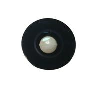 Compatible avec GoPro Max - Ensemble de Verre d'objectif de Remplacement (pièce de réparation d'appareil Photo)