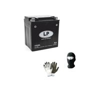 Compatible avec Harley Davidson FLHTI Electra Glide Standard F/I 1450 année 2003 à 2006 Batterie YTX30L YIX30L-BS déjà chargée et prête à l'emploi Batteries AGM 30 ampères 12 volts 166 x 126 x 173 mm