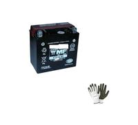 Compatible avec Harley Davidson XG NBB Street 750 2015-2020 Batterie YTX14L-BS YUASA (SCELLÉ Complet ET PRÊT) Batteries 12V / 12AH pour Moto Scooter SPÉCIFICATION 150X87X145