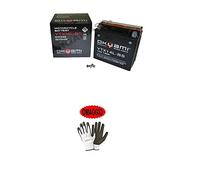 Compatible avec Harley Davidson XL Sportster-883 2004-2014 Batterie déjà chargée scellée OKYAMI YTX14L-BS batteries actives 12 Ah 12 V 150 x 87 x 146 mm