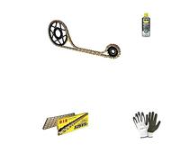 Compatible avec Honda CB F Hornet (PC36) 600 2003-2006 KIT DE CHAÎNE DE PIGNON DE PIGNON pour Transmission DE Moto DID 525VX3 LUN 110 Liens,Couronne en Acier P525-Z42,PIGNON P520-Z15