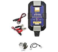 Compatible avec Honda CBR 125 R Chargeur DE Batterie Maintien DE Charge Automatique pour Moto Scooter Voiture Camper Quad Jet Ski 6/12V-0.75-1.25A Acide,AGM,Gel,MF,Humide
