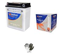 COMPATIBLE AVEC HONDA CBX E 650 1982 A 1984 BATTERIE PRÊTE À USAGE YB12AL-A2 12 V 12 AH BATTERIE 12 AMPERE 12 VOLT SPÉCIFIQUE MOTO SCOOTER 134X80X160 MM