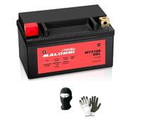 Compatible avec Kawasaki Ninja H2 SX SE 1000 de 2018 à 2020 Batterie en gel Malossi YTZ10S déjà prête à l'emploi active 8,6 Ah 12 volts pour moto scooter