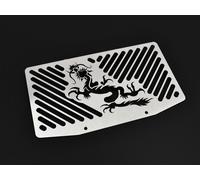 Compatible Avec Kawasaki Versys 650 Année de Construction 06-09 Antigel Calandre