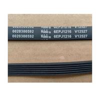 Compatible avec la courroie de machine à laver à tambour Haier 6PJE1216 6PJ1216 6PJ1216 6J1216