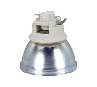 Compatible avec Le Module de Lampe ViewSonic RLC-109 | Ampoule de rechange for PA503W, PG603W, VS16907, PS501W, PS600W.(RLC-109-CB)