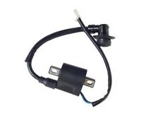 Compatible avec Les modèles de générateurs Portables 2000 2200 Watts 24v Remplacement du marché secondaire de la Bobine d'allumage