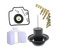 Compatible avec moteur refroidi à l'eau CN250/CH250 Helix/Fusion 250 Big Ship22 Kit de réparation de carburateur avec piston