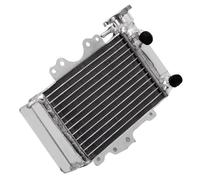 Compatible Avec PES125 Pour PES150 2006 2007 2008 2009 2010 Refroidissement Du Moteur Radiateur Refroidisseur D'eau D'injection Liquide Refroidissement Radiateur Réservoirs de trop-plein