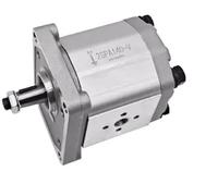 Compatible avec pompe à engrenages Boden BAP1B0-D 2SPA14D-V-LW BHP2B0D18T1E3 2PHA16DC2B1L3 2A0A14D-V-LW 2SPA14D-10N 2PF10L15P02 GHP2A-D20-FG (BHP2B0D18T18T1). E3)