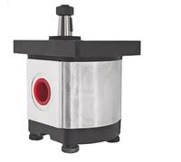 Compatible avec pompe à engrenages GRH BAP1B0-D 2SPA14D-V-LW BHP2B0D18T1E3 2PHA16DC2B1L3 2A0A14D-V-LW 2SPA14D-10N 2PF10L15P02 (2A0A14D-V-LW)