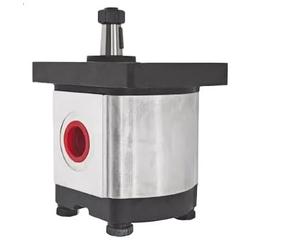 Compatible avec pompe à engrenages GRH BAP1B0-D 2SPA14D-V-LW BHP2B0D18T1E3 2PHA16DC2B1L3 2A0A14D-V-LW 2SPA14D-10N 2PF10L15P02 (2SPA14D-V-LW)
