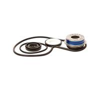 compatible avec/remplacement pour 450 LTR 06/09 - KIT REPARATION POMPE A EAU-WPK0043
